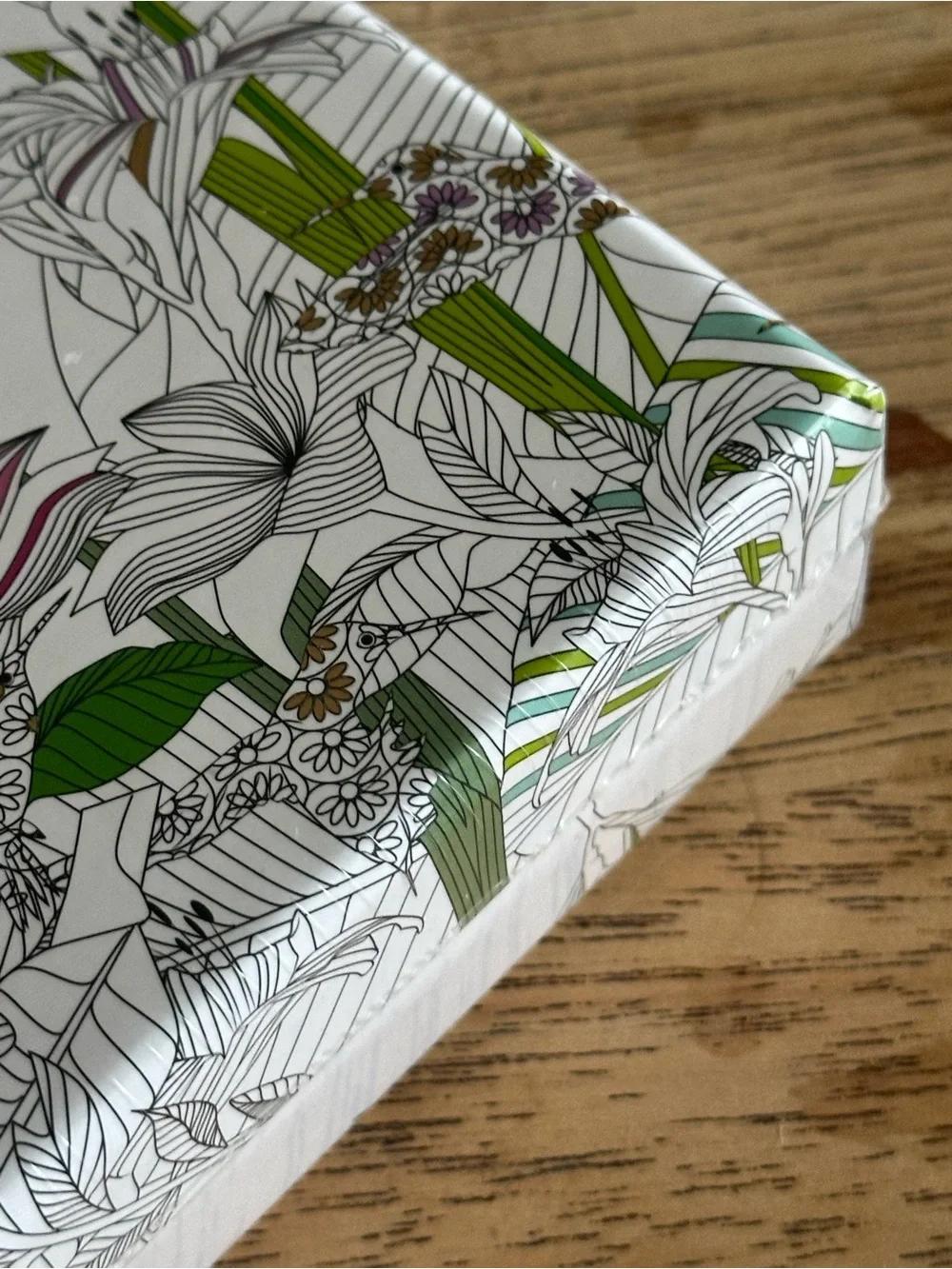 Hidden Jungle 12 Notecard Botanical stationary set w envelopes lark New York